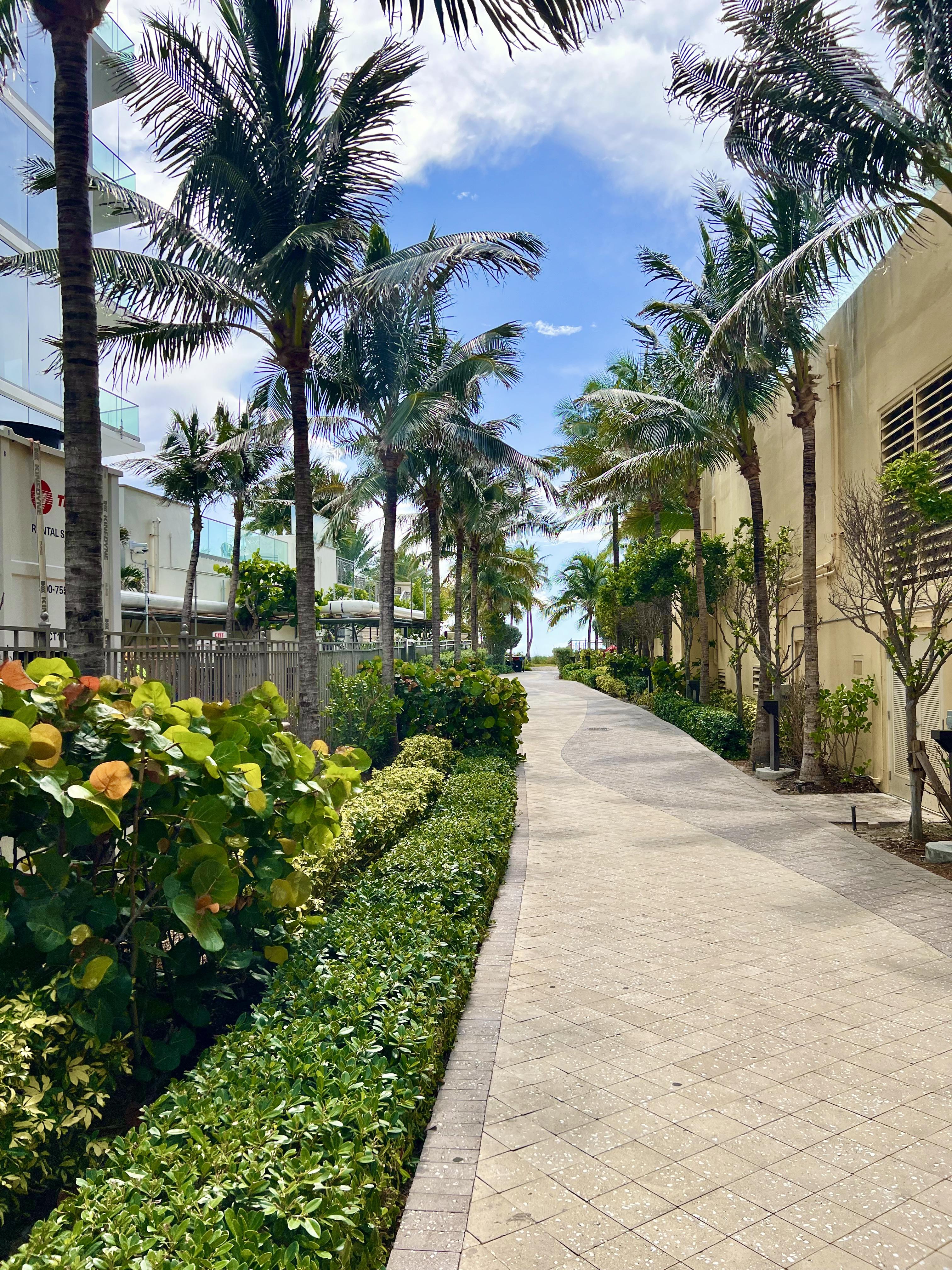 Beach path